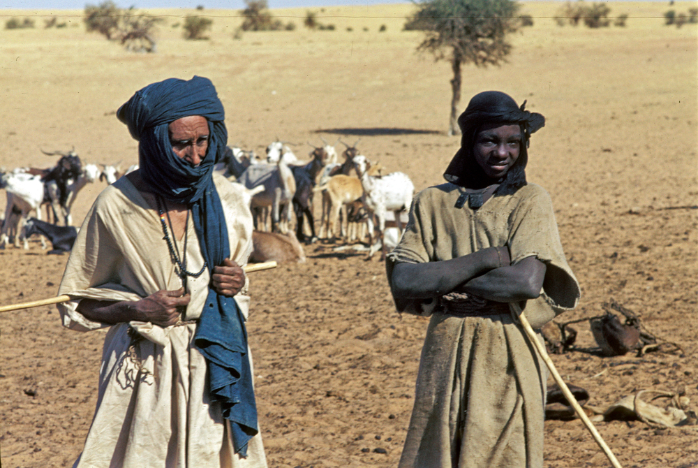 Rise of the Tuareg tribe in Fezzan