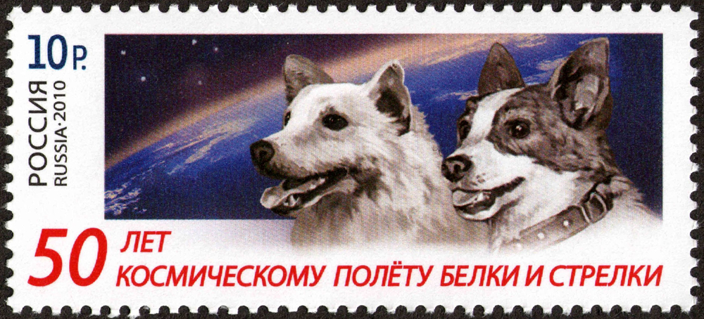 Belka and Strelka: Earth's First Orbiting Animals