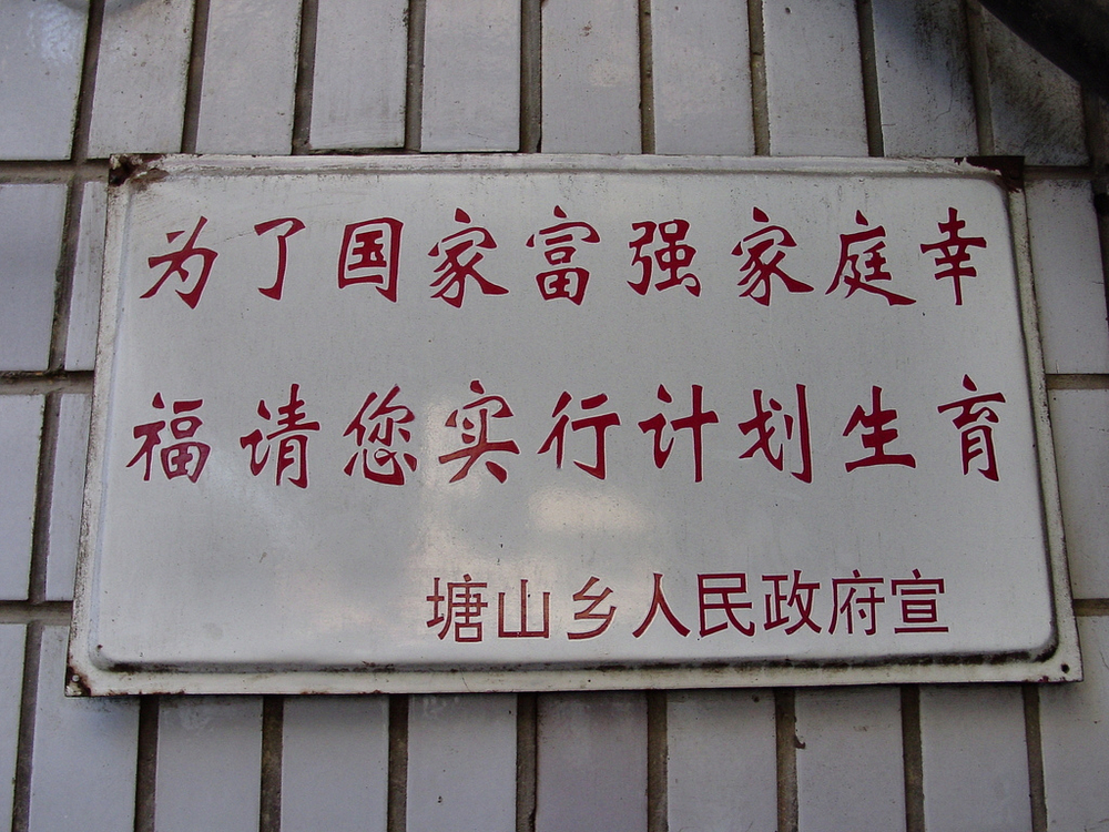 One-Child Policy: Population Control Measure
