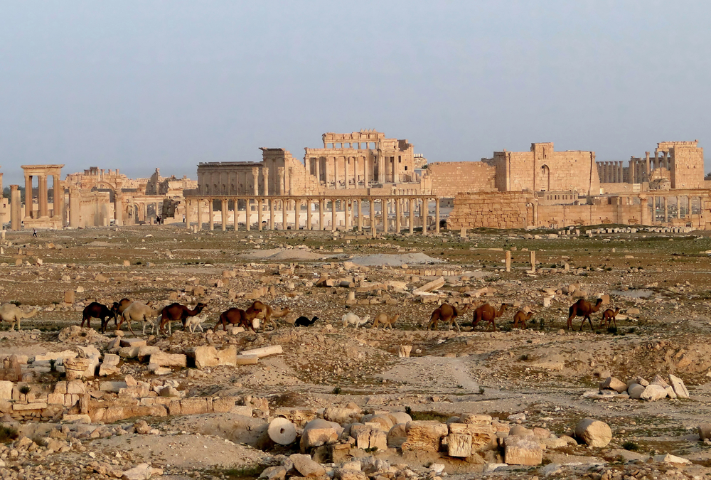 Hadrian's visit and construction projects in Palmyra: Temple of Bel.