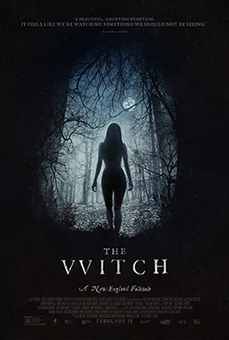 The Witch (2015 film)