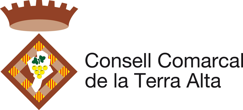 Formation of the Consell de la Terra, Andorra's inaugural government system.
