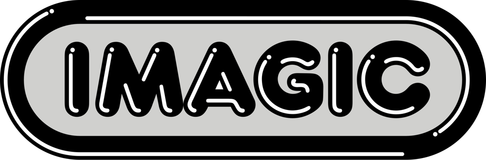 Formation of Imagic Following Activision's Model