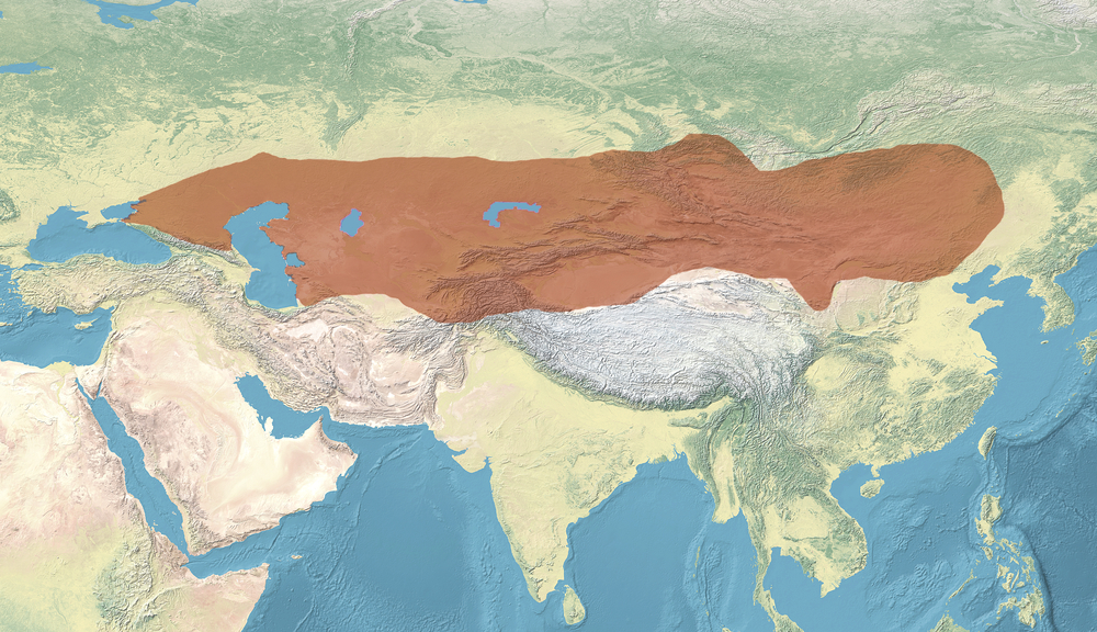 The First Turkic Khaganate: Establishment and Influence