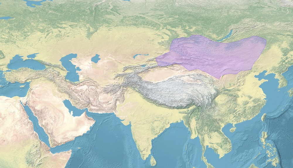 Rise of the Uyghur Khaganate in Central Asia