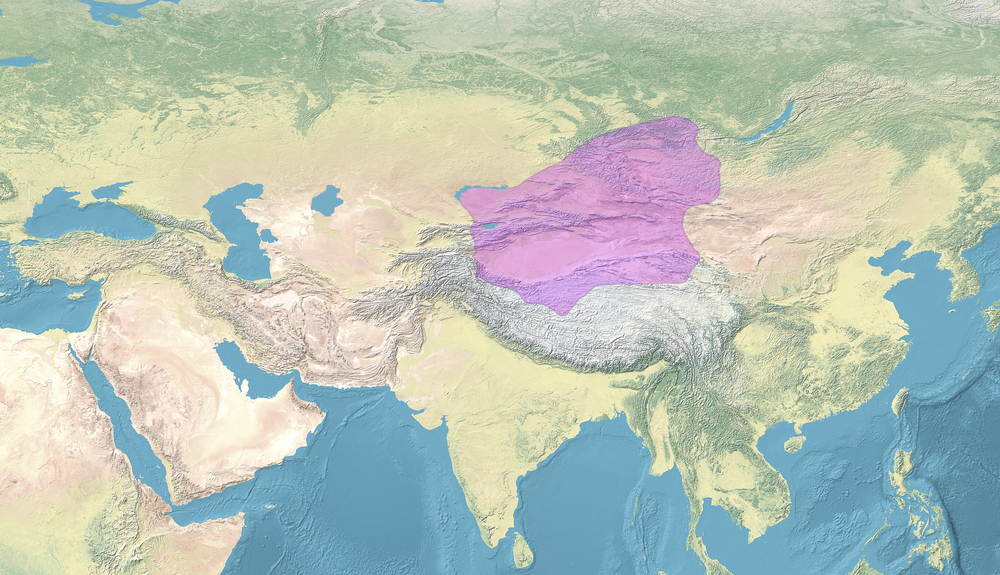 Rise of the Dzungar Khanate by Oirat Mongols