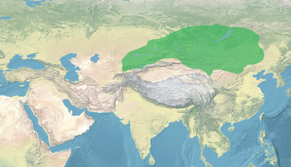 Ilterish Qaghan unites Turkic tribes to form Second Khaganate.