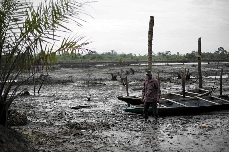 Dutch Court Holds Shell Accountable for Oil Spills in Nigeria