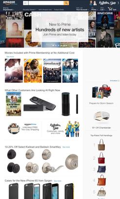 Amazon website launched for public sales