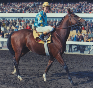 Northern Dancer clinched victory with Bill Hartack riding in 2:00.0 on a fast track.