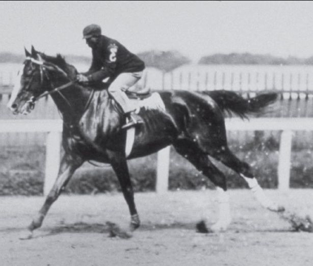 Winner: Alan-a-Dale's triumphant victory with jockey Jimmy Winkfield under trainer Thomas Clay McDowell.