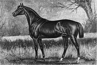 Leonatus wins under William Donohue at Heavy 1+1⁄2 miles, trained by Raleigh Colston Sr.
