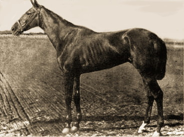 Hindoo triumphs with Jim McLaughlin at 1+1⁄2 miles in 2:40.0 on a fast track.