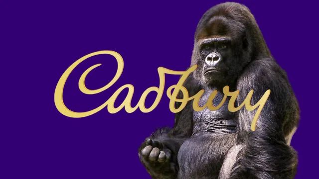 Phil Rumbol and the Cadbury Gorilla