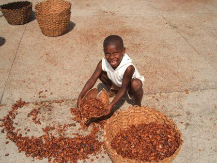 Child Labour in Cocoa Farming Exposed