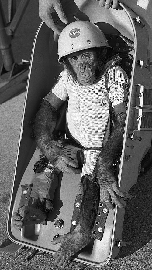Moment image for First Hominidae in Space with Chimpanzee Ham