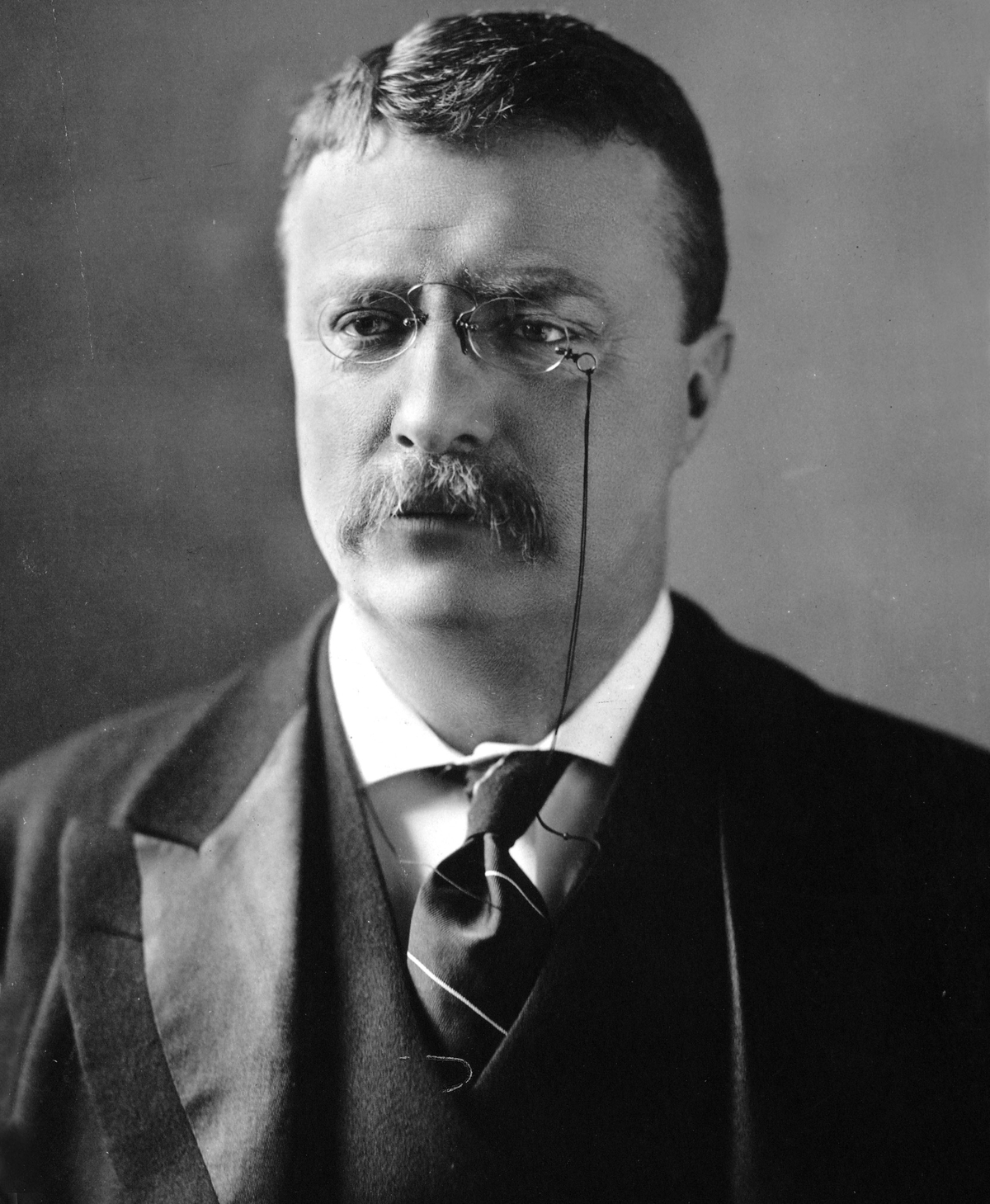 Moment image for Theodore Roosevelt becomes President after William McKinley's assassination, becoming the youngest President.