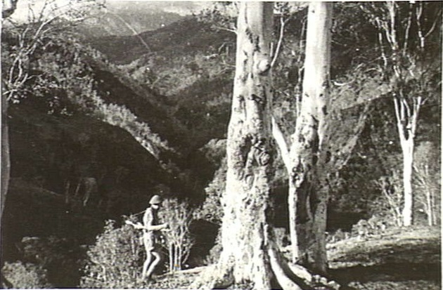 Moment image for Occupation of Portuguese Timor by Australian and Dutch forces during World War II.