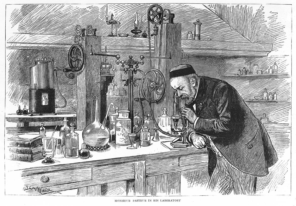 Moment image for Louis Pasteur confirms fermentation experiments