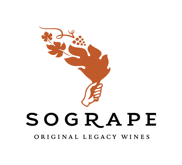 Moment image for Establishment of Sogrape Vinhos