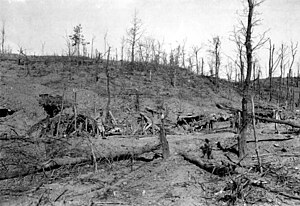 Moment image for Battle of Asiago: Italian forces defend against Austro-Hungarian offensive, resulting in a stalemate.