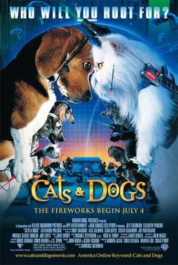 Moment image for Cats and Dogs