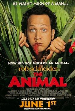 Moment image for The Animal