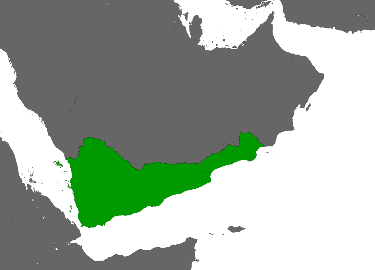 Moment image for King Kaleb: Aksumite invasion of Himyarite Kingdom consolidates control in Yemen region.