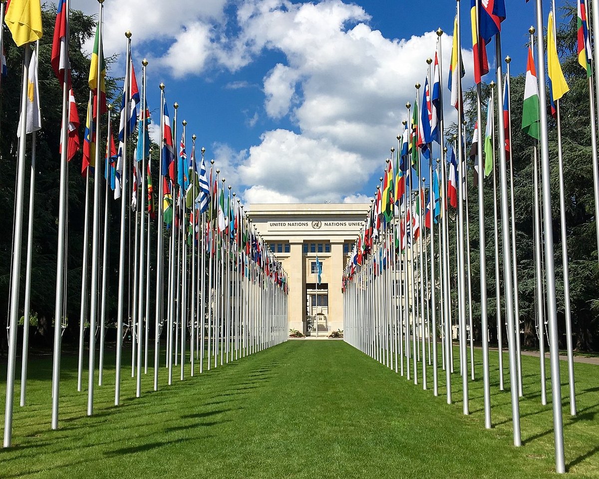 Moment image for Tunisia joins United Nations as member country, enhancing global cooperation and representation.