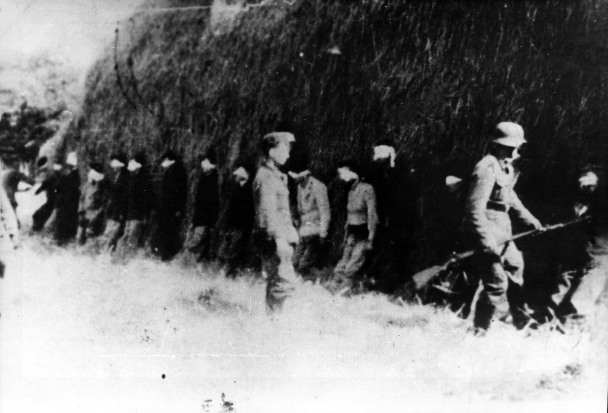 Moment image for Partisans liberate Bosnia-Herzegovina with Tito's campaign.