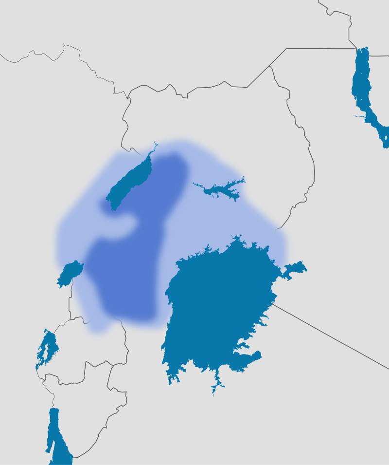 Moment image for Establishment of Chwezi Dynasty