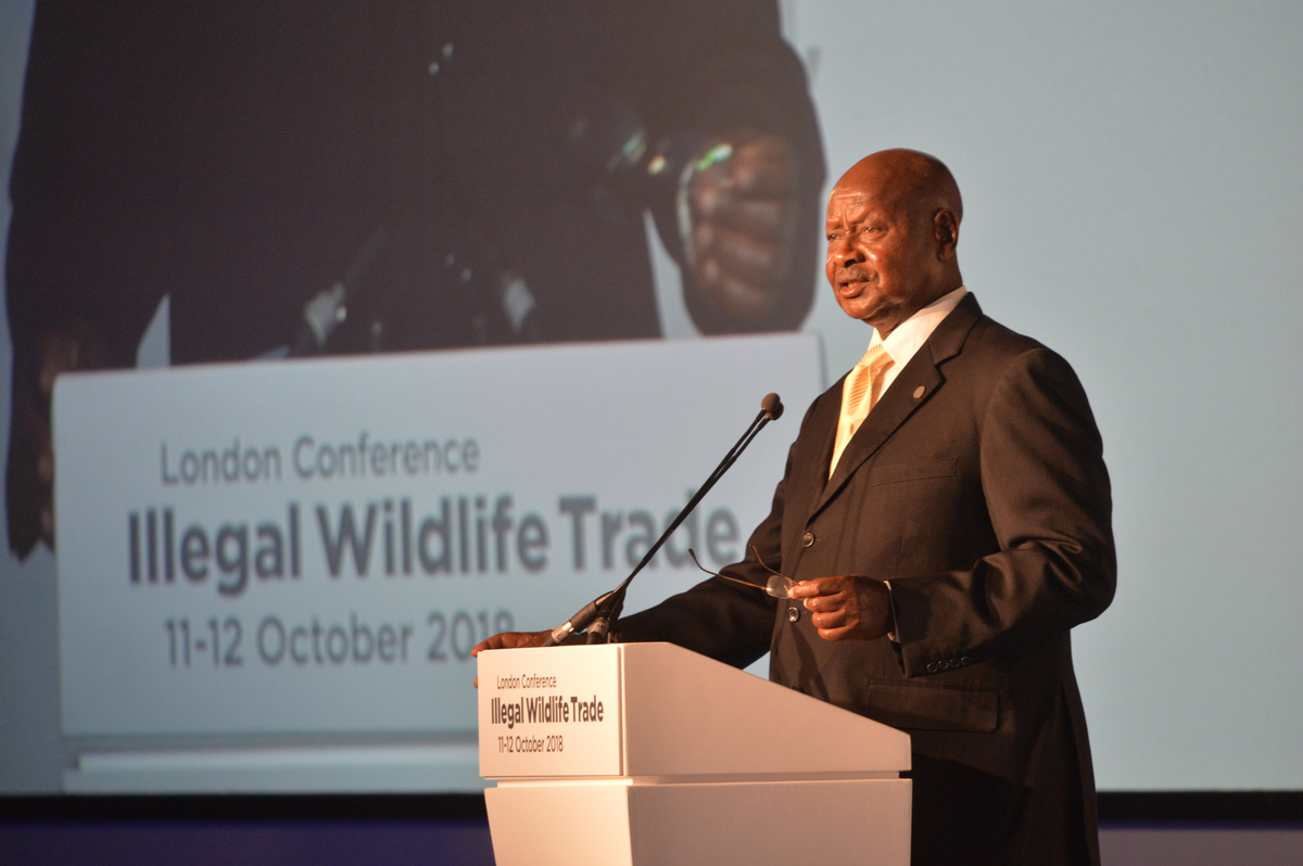 Moment image for Museveni secures sixth term amid fraud claims and opposition crackdown