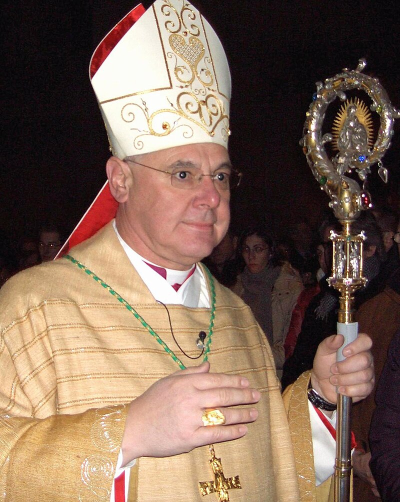 Moment image for Cardinal Gerhard Ludwig Müller Criticizes Schwab