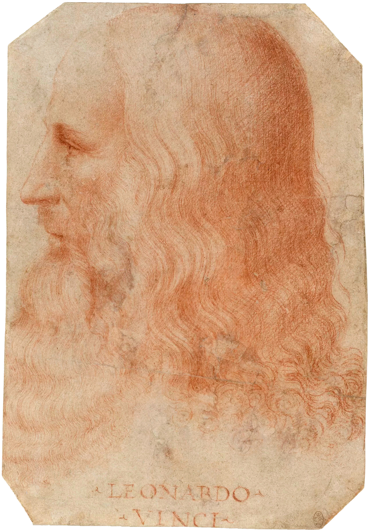 Moment image for Leonardo da Vinci in Milan: The Renaissance Master and Polymath's Diverse and Influential Work.
