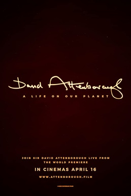 Moment image for David Attenborough: A Life on Our Planet