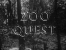 Moment image for The Pattern of Animals and Zoo Quest