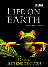 Moment image for Life on Earth Series: Nine Documentaries Produced in Collaboration with BBC Natural History Unit