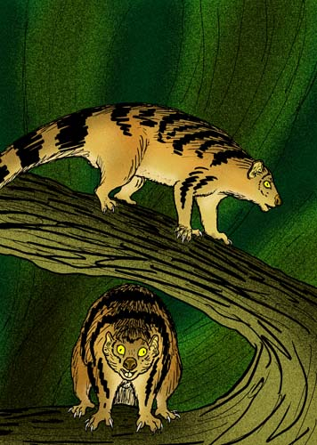 Moment image for Kitten-sized extinct 'lion' named after David Attenborough