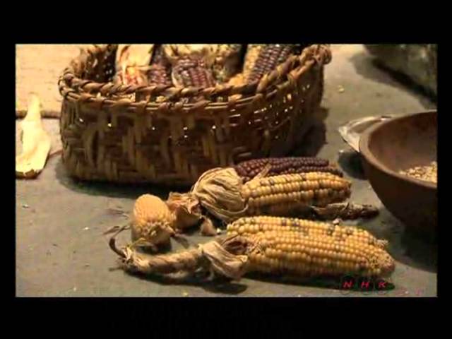 Moment image for Cahokia, a significant Native American city, is deserted, leaving its impressive legacy behind.