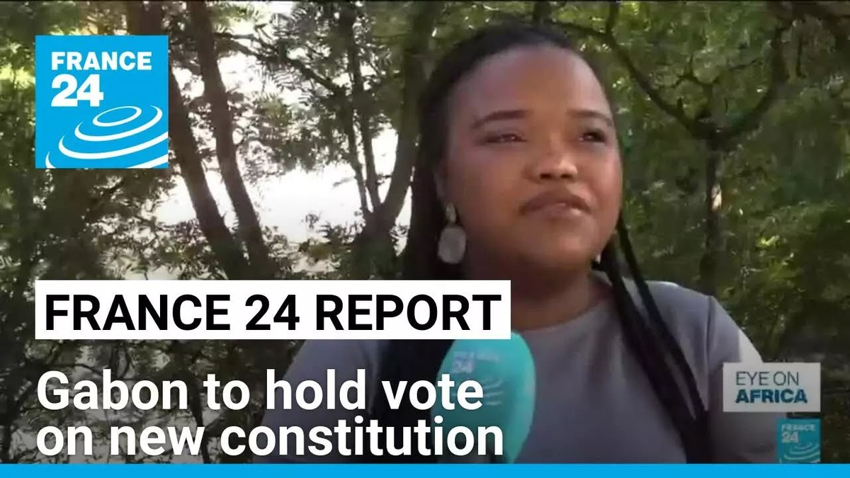 Moment image for Referendum approves the new constitution