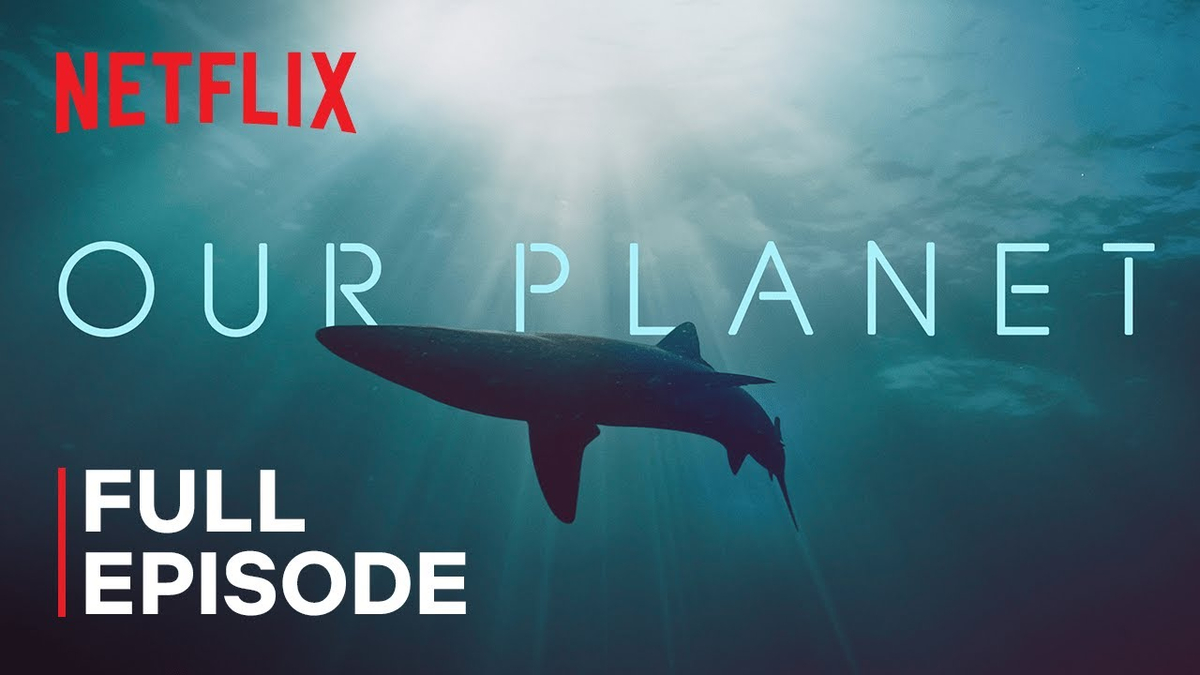 Moment image for Documentary 'Our Planet' Features Narration by David Attenborough Highlighting Environmental Issues