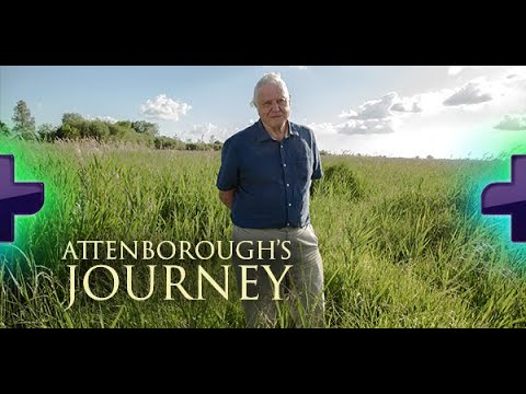 Moment image for Broadcast of Attenborough's Journey on BBC Two