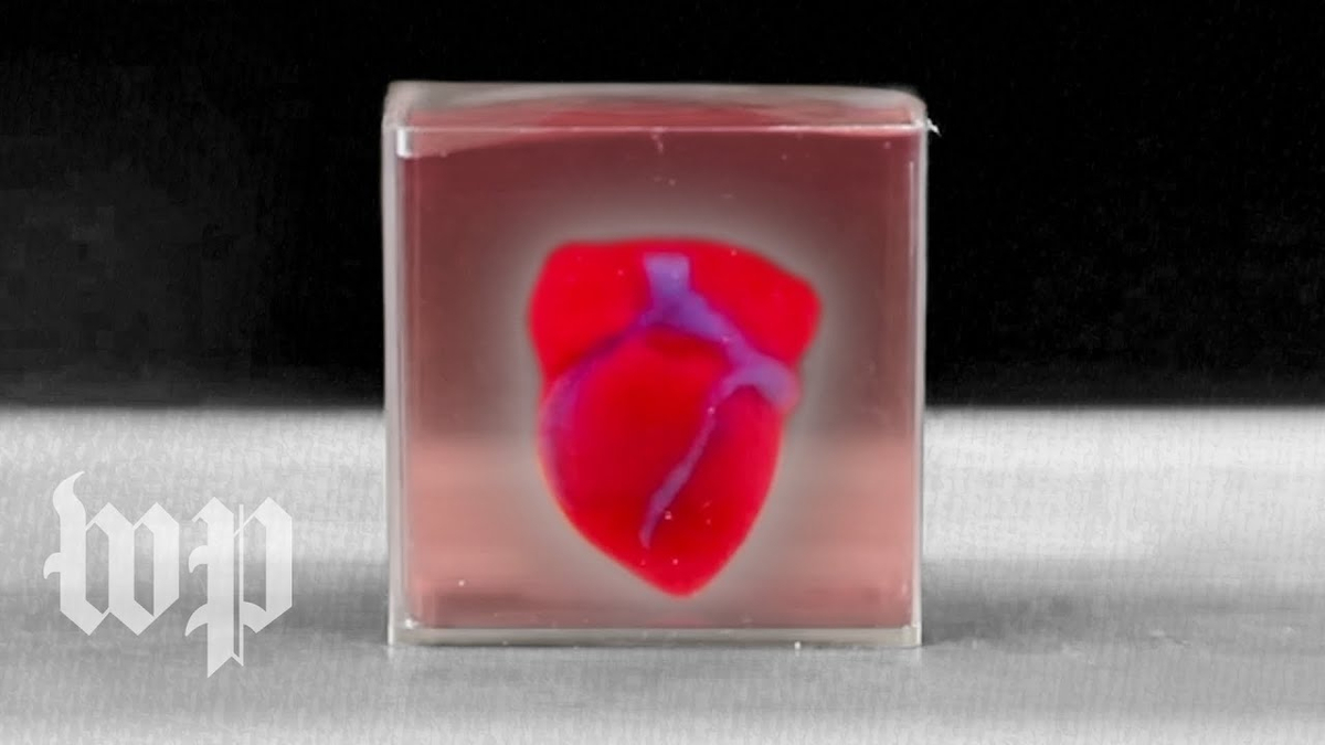 Moment image for Scientists 3D-Print a Heart Using a Patient’s Own Cells