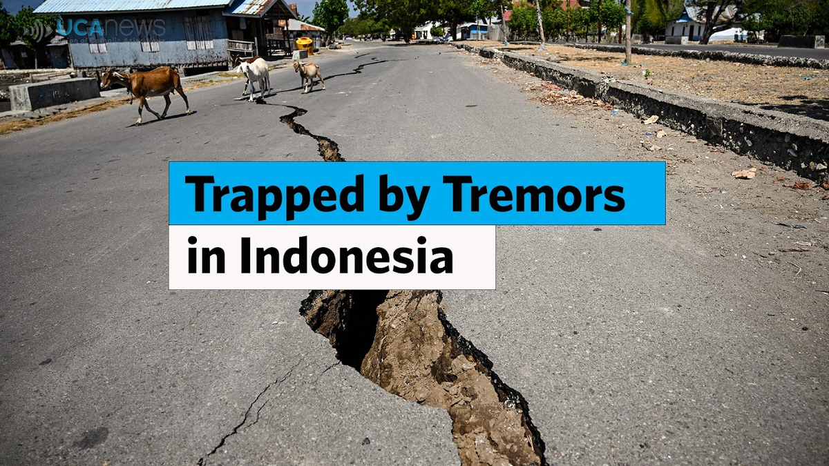 Moment image for Flores Island Earthquake 2026: Indonesia Faces Its Deadliest Seismic Disaster Since 2022