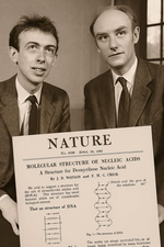 Description of the Structure of DNA Published