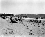 The Slapton Sands Tragedy