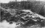 Early Chemical Warfare Experiments on Western Front - World War I gas attacks analyzed.