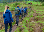 Rwanda's tourism sector experienced remarkable growth