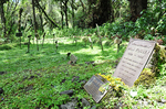 Dian Fossey is Murdered in Rwanda