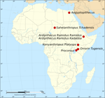 Discovery of Orrorin tugenensis Leads to Human Tree Insights